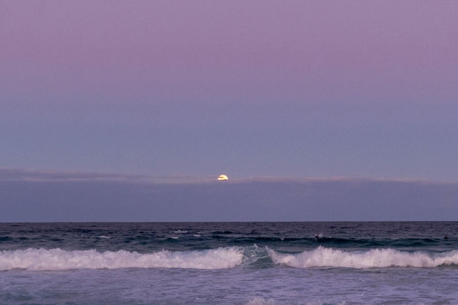 Australia's Guide to Emergency Water & Flood Damage Restorat...