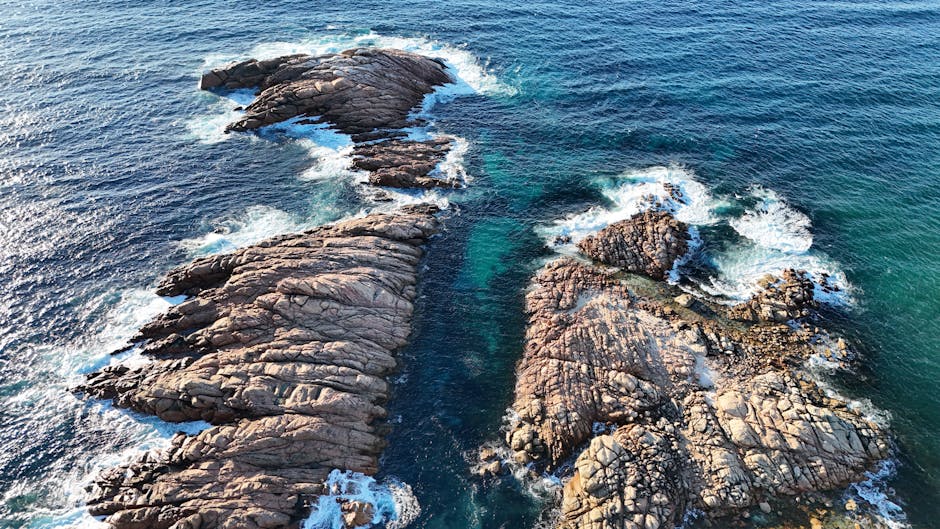 Expert Water Damage Restoration Australia: Your Guide to Rec...