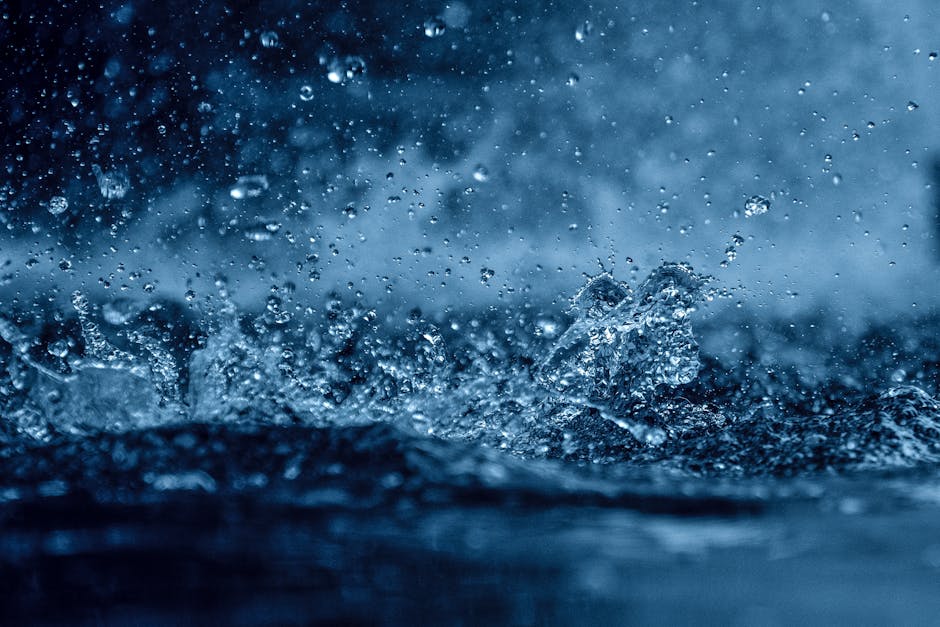 Expert Water Damage Restoration Across Australia