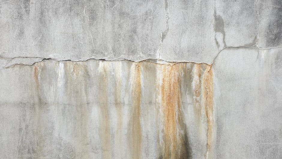 Expert Water & Fire Damage Restoration Across Australia